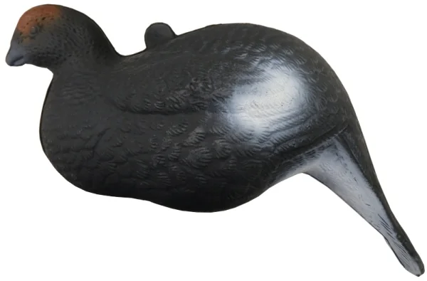 CHuchelo Teterev (plastik)